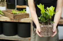 Load image into Gallery viewer, Bulk Soil - Houseplant Chunky Mix (7 Gal Box)
