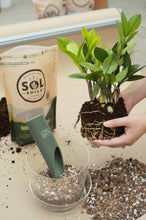 Load image into Gallery viewer, Bulk Soil - Houseplant Chunky Mix (7 Gal Box)
