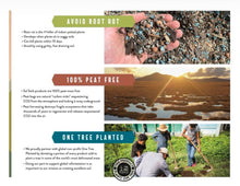 Load image into Gallery viewer, Bulk Soil - Bonsai Gritty Mix (7 Gal Box)
