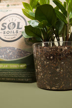 Load image into Gallery viewer, Soil (1Gal) Houseplant Chunky Mix (Aroid/Tropical Mix): 1 Gallon (4 Quarts)
