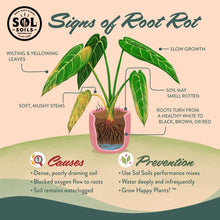 Load image into Gallery viewer, Soil (1Gal) Houseplant Chunky Mix (Aroid/Tropical Mix): 1 Gallon (4 Quarts)
